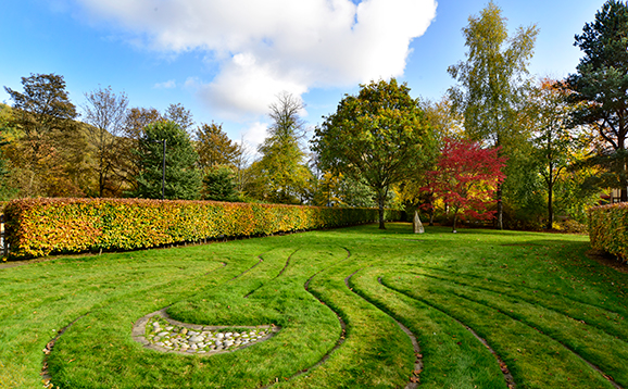 The Garden of Time