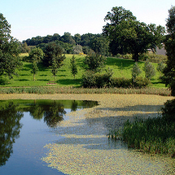 1992 - Garden Landscape