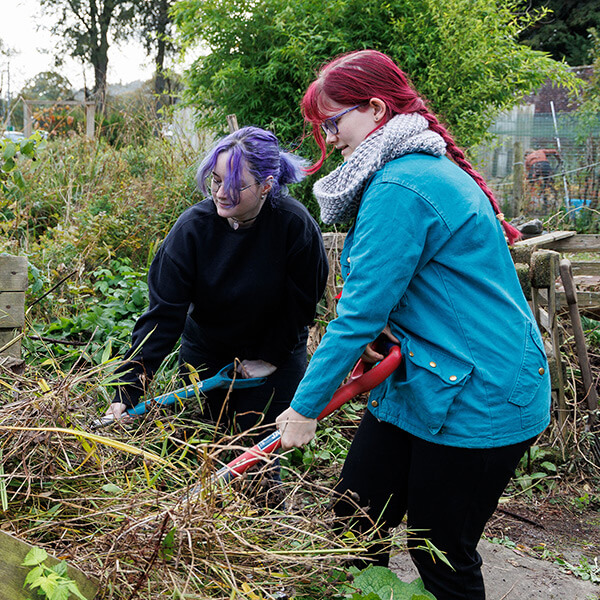 Image: Community Gardening Session