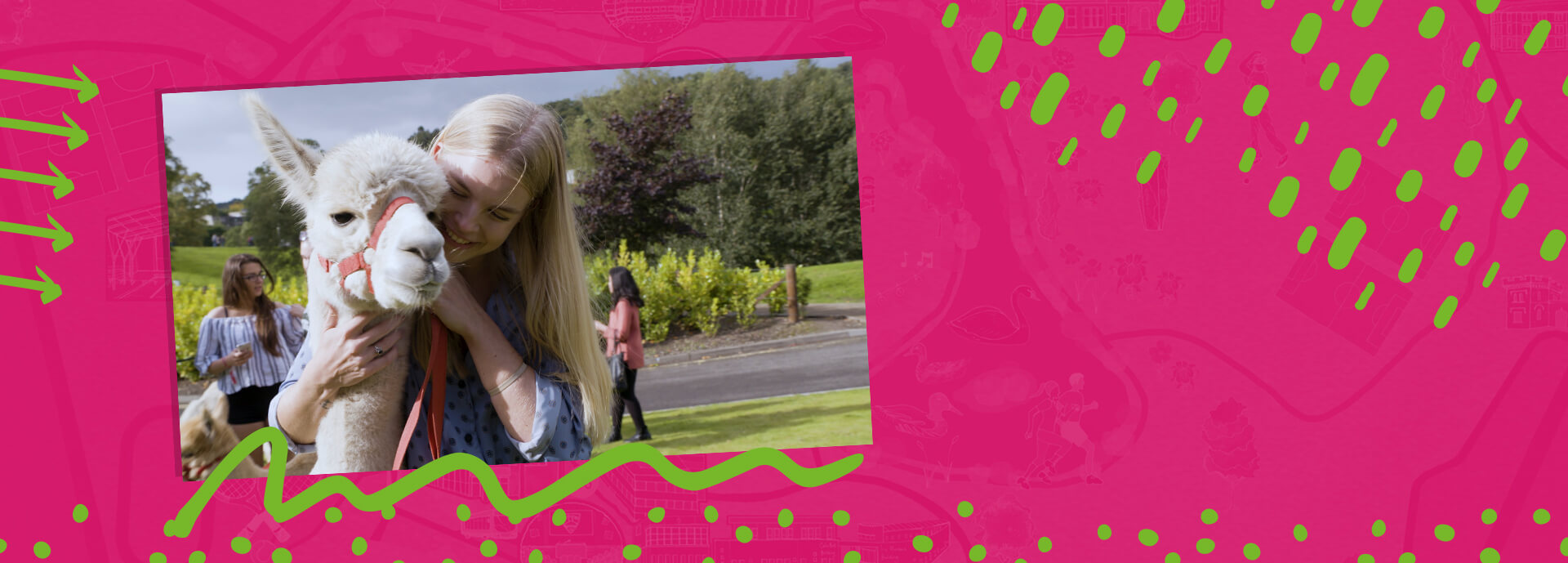 An image of a female student with an alpaca on a graphic, pink background