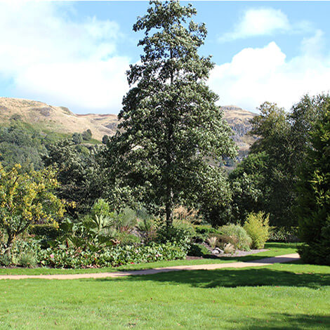 Trees and hills in Garden of Time