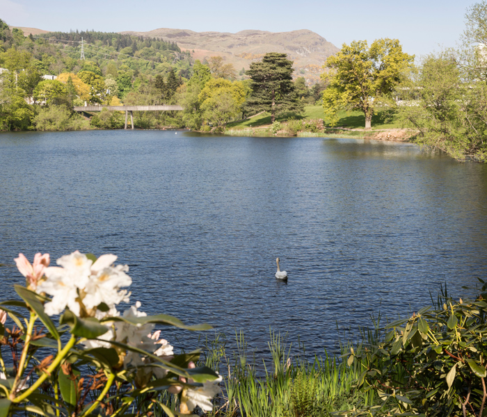 airthrey loch