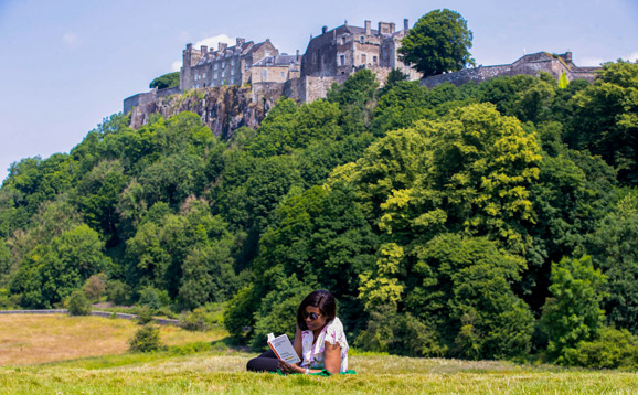 A student reading in a sunny Kings Park