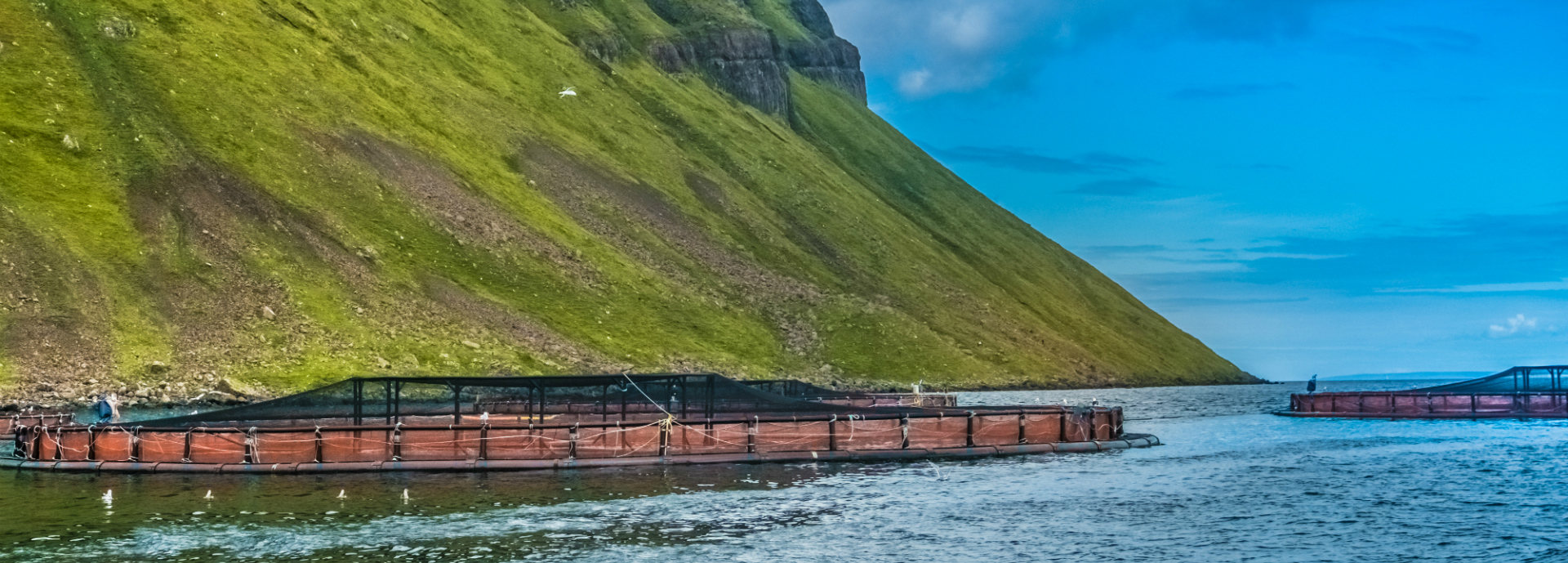 Salmon farm, Scotland