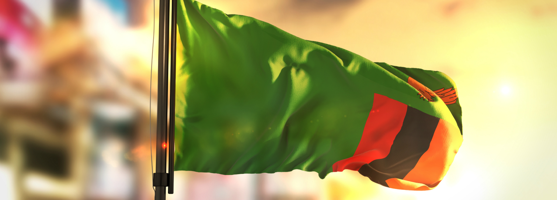 Zambian flag