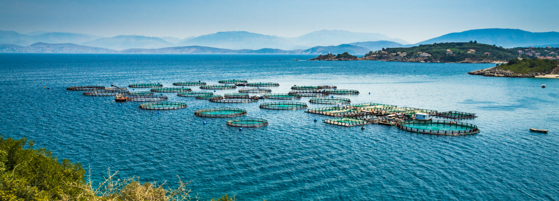 Fish farm