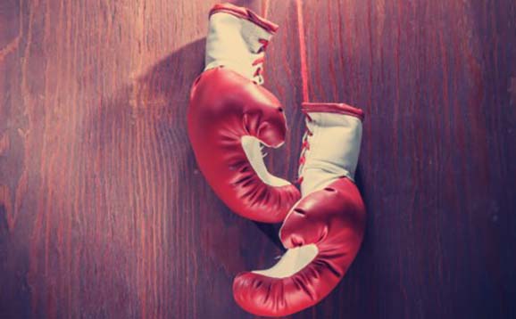 Boxing gloves