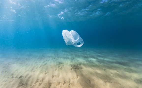 Plastic bag in the ocean