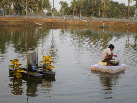 Bangladesh aquaculture