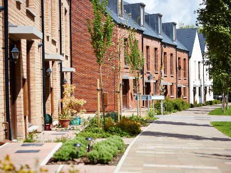 Row of modern, terraced homes with a tree-lined walk way in front