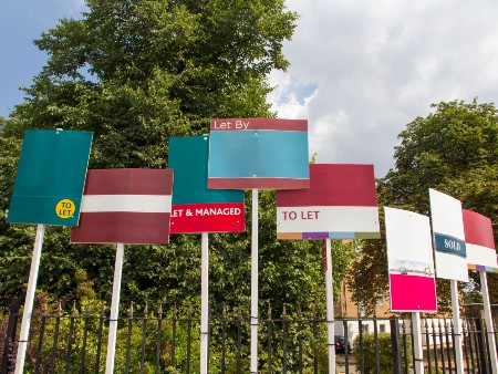 Photo of a row of 'to rent' signs