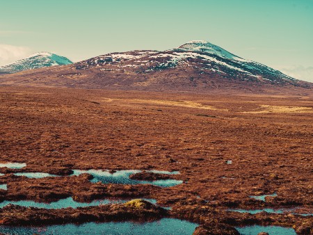 Peatland Scotland