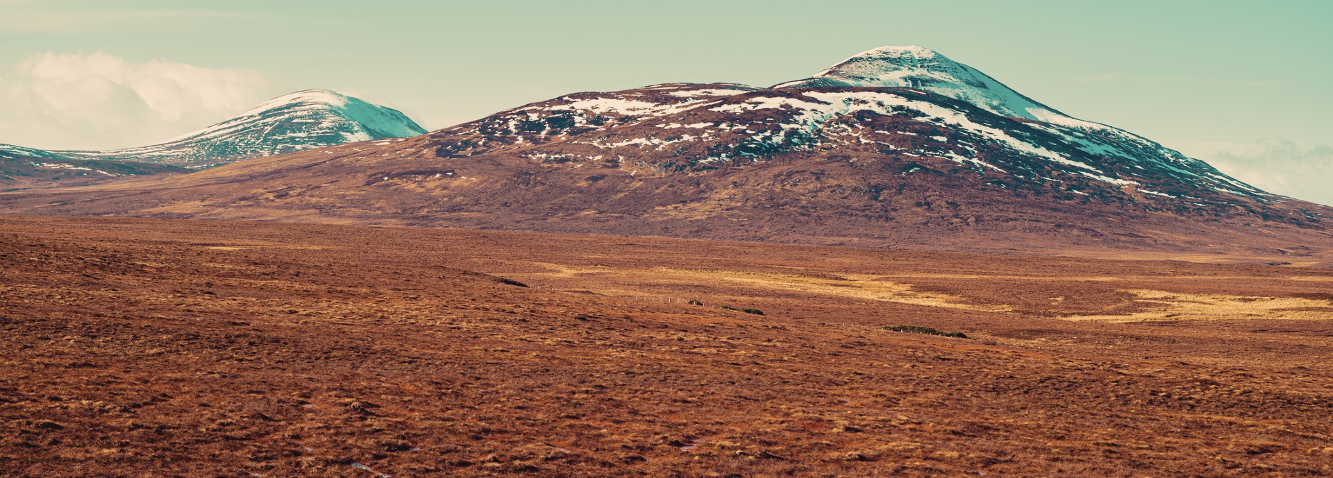 Peatland Scotland