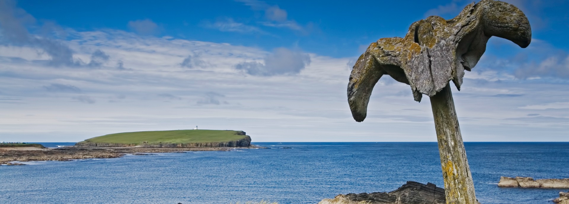 Whale bones on a beach in Orkney