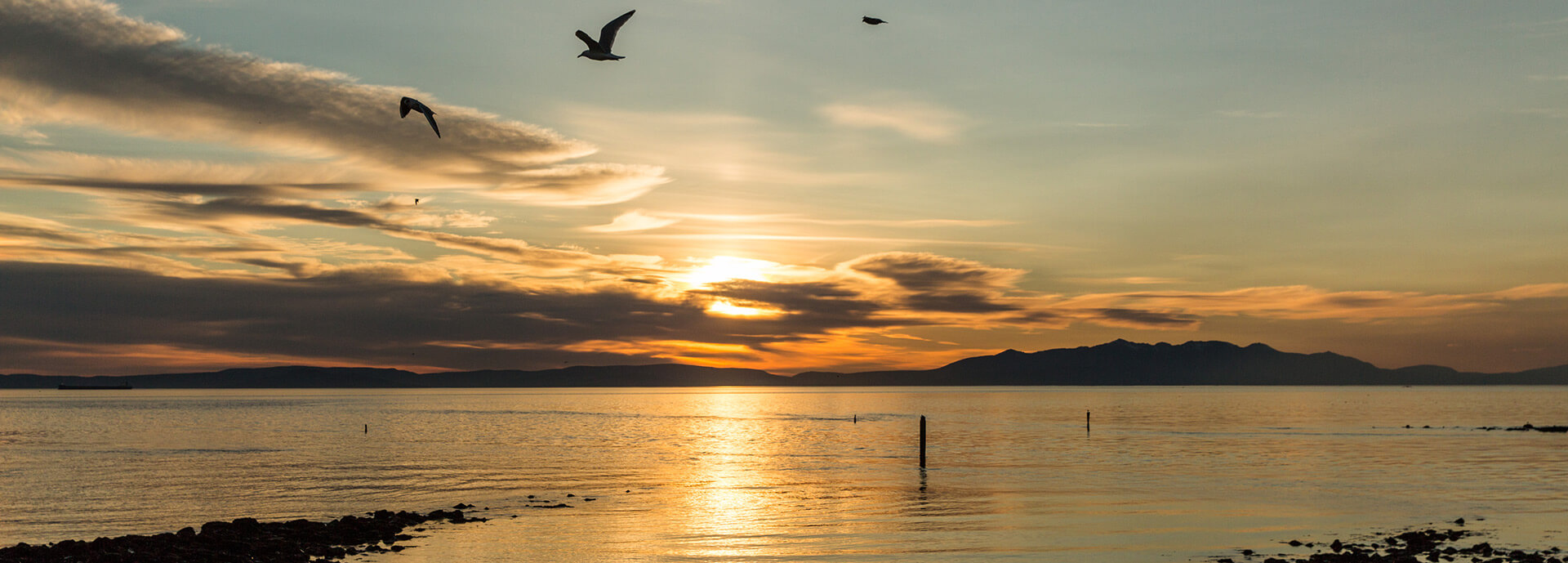 Sunset over sea with some birds flying