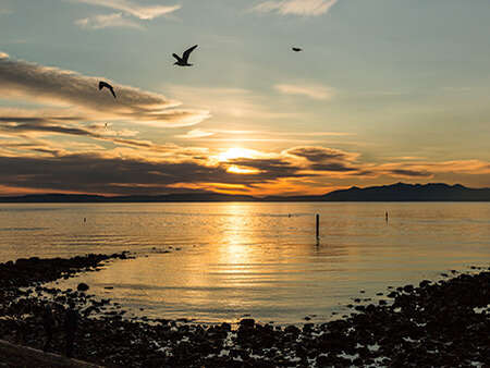 45Sunset over Irvine with some birds flying