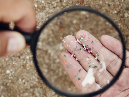 Microplastics under a magnifying glass.