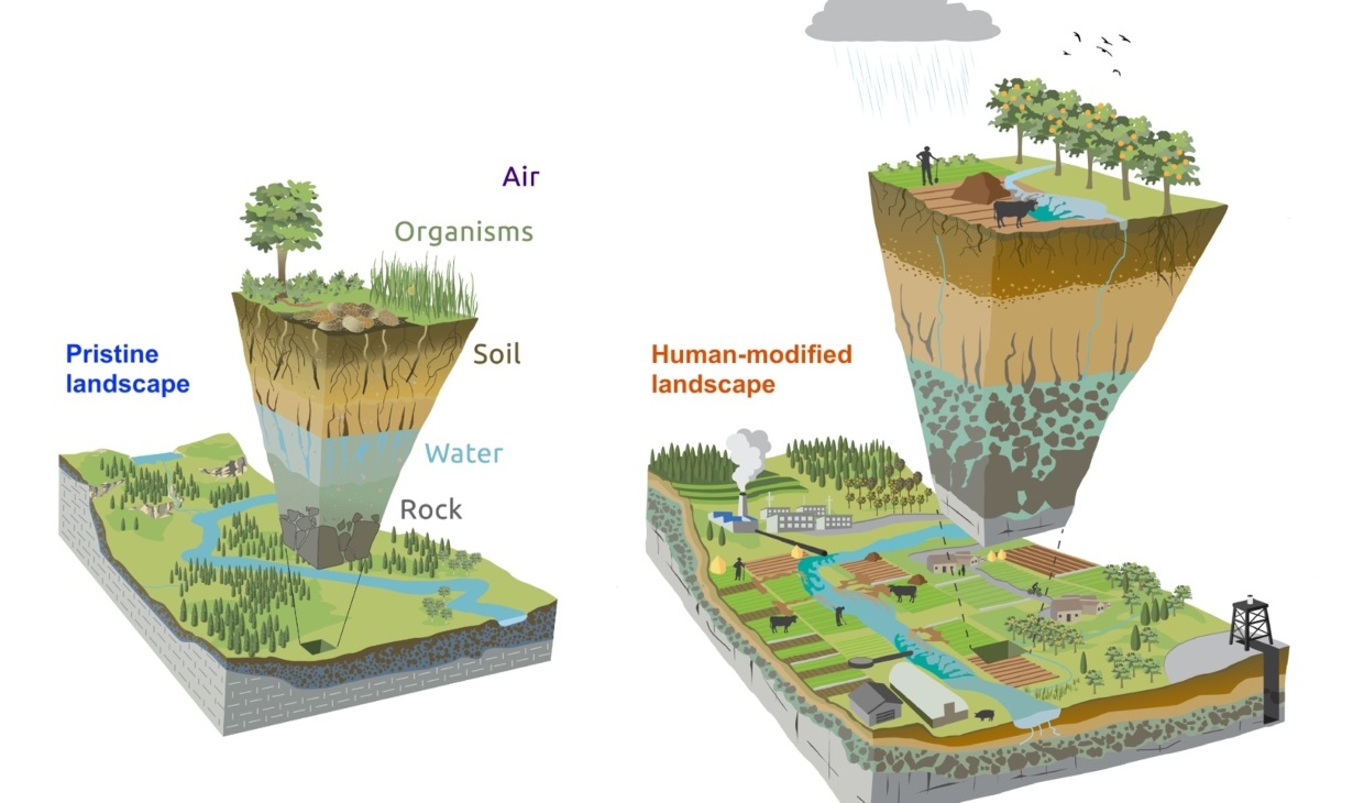 Critical Zone diagram