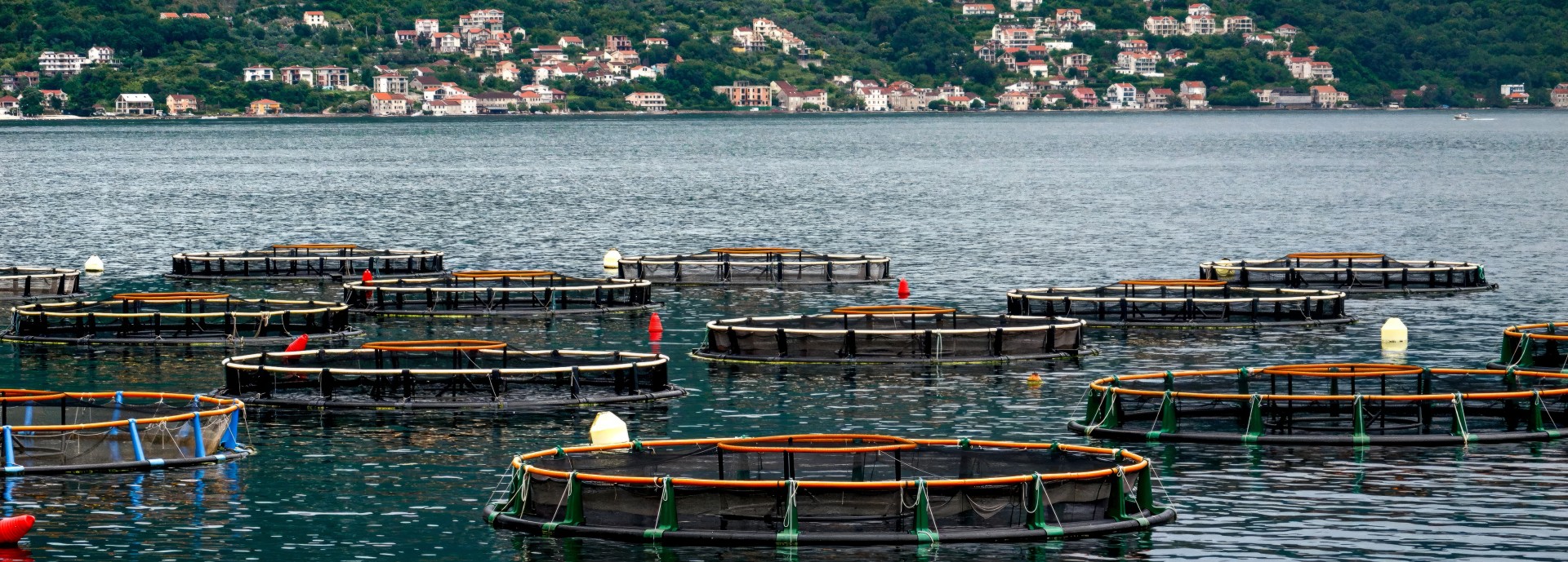 FishFarm1920x689iStock-1804564263