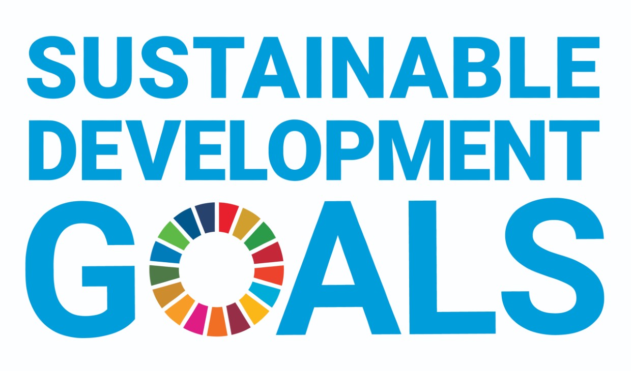 SDG logo