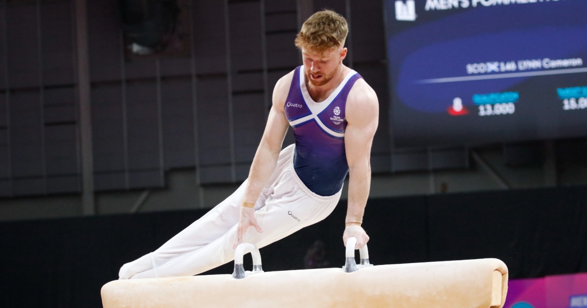 Cameron Lynn Pommel Horse.
