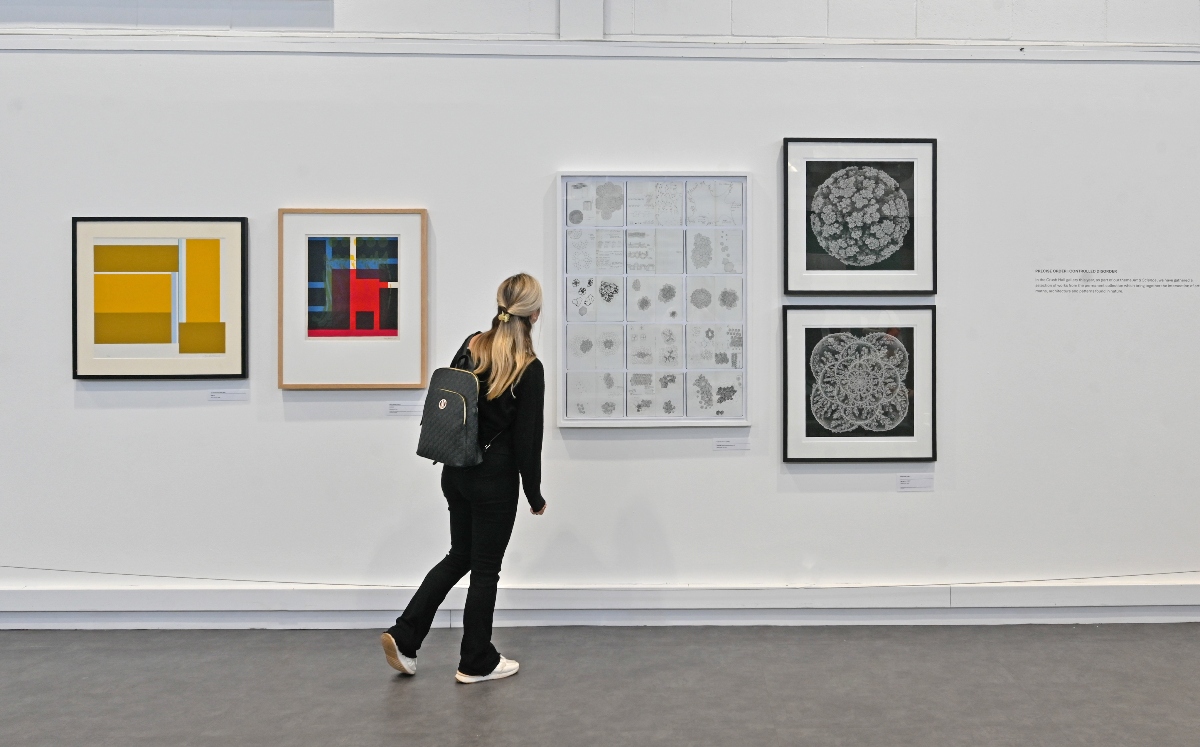 Person looking at art on walls