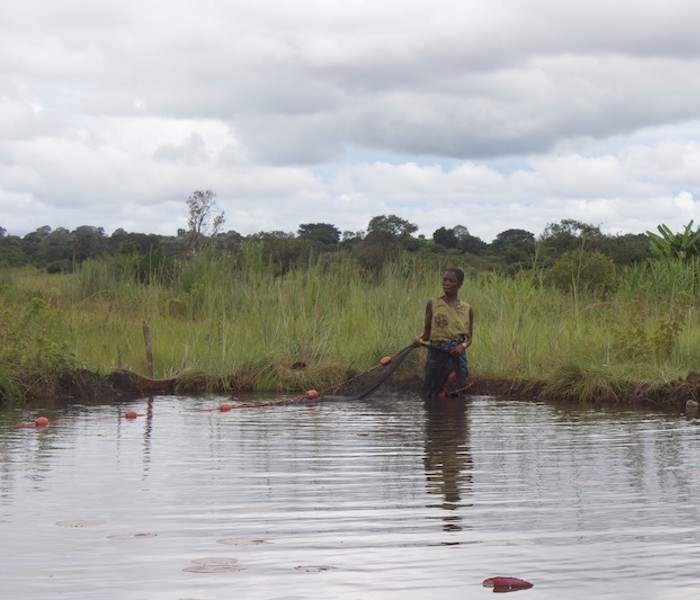 Woman stands in a river with a fishing net