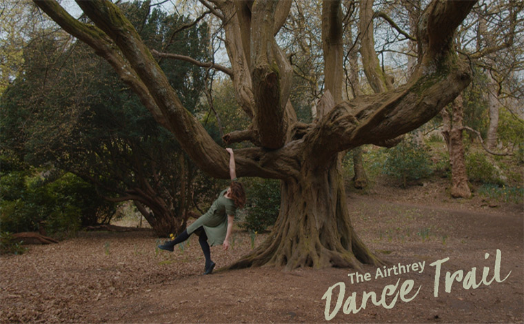 Dancer and hornbeam tree