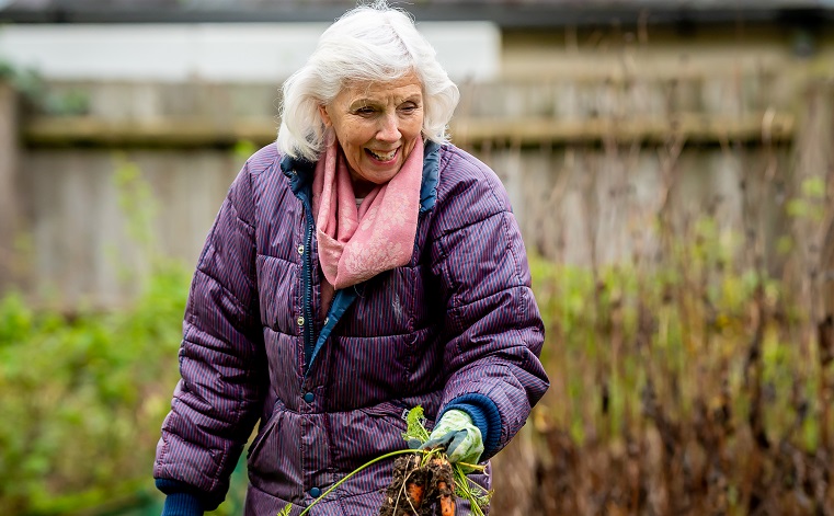 A person working in a garden