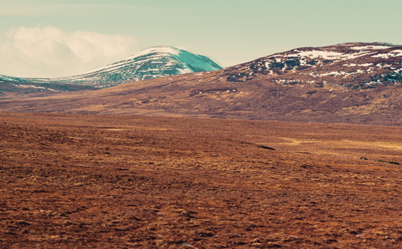 peatland landscape