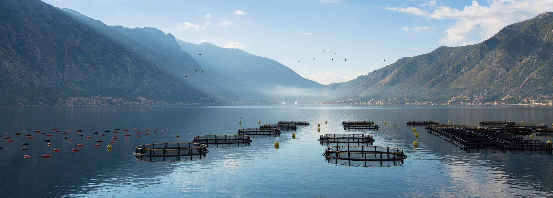 sustainable aquaculture fish farm