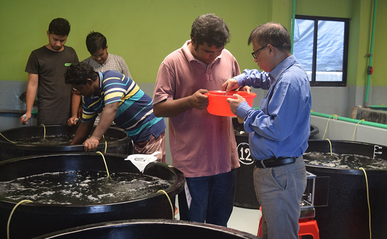 Researchers in aquaculture facilities