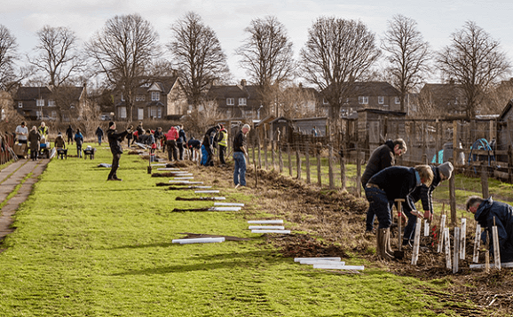 People planting trees in park surrounded by suburban housing